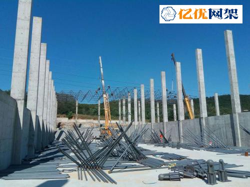 安国料棚网架设计